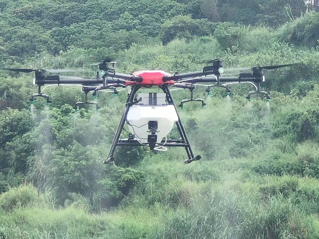 Chinese spray, celery drone