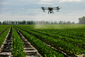 Spray drone
