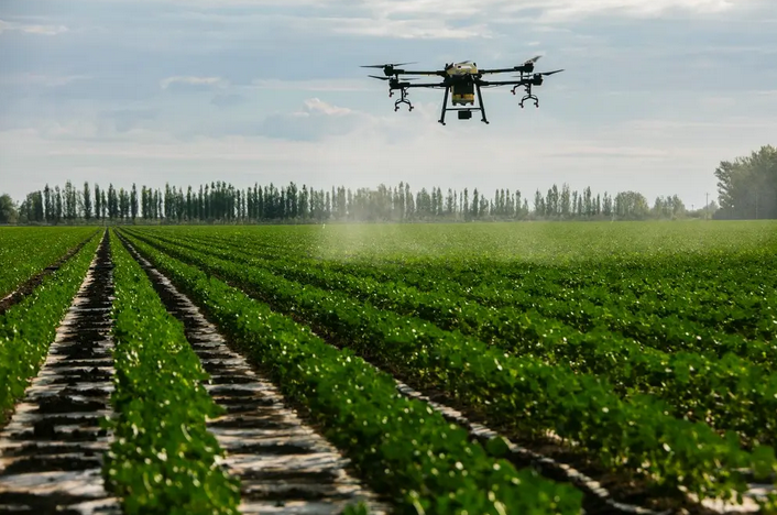 图片[1]-Spray drone “After 90” farmer Xiang Xianzhi’s “mechanical farming”-msoen