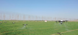 Drugging drones, drones in full battle wheat spring tube-msoen