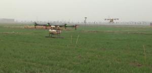 Drone on duty, 1 minute