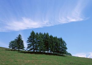 Agricultural drones in progress-msoen