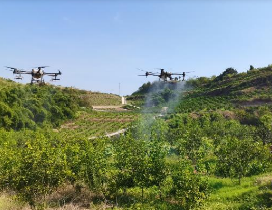 图片[1]-Proper use of agricultural spraying drones-msoen