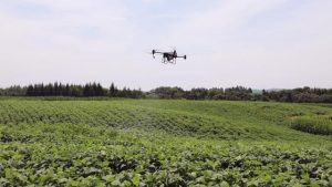Agricultural drone, orchard fumigation drone spraying effect-msoen