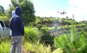 Control psyllids in citrus fall shoots with drone help-msoen