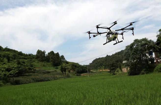 Application of Chinese spray drone sprayer in long-stalk crops