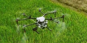 The Difference between Drones-msoen