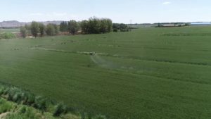 Contrast of UAV seeding and seeding methods!-msoen