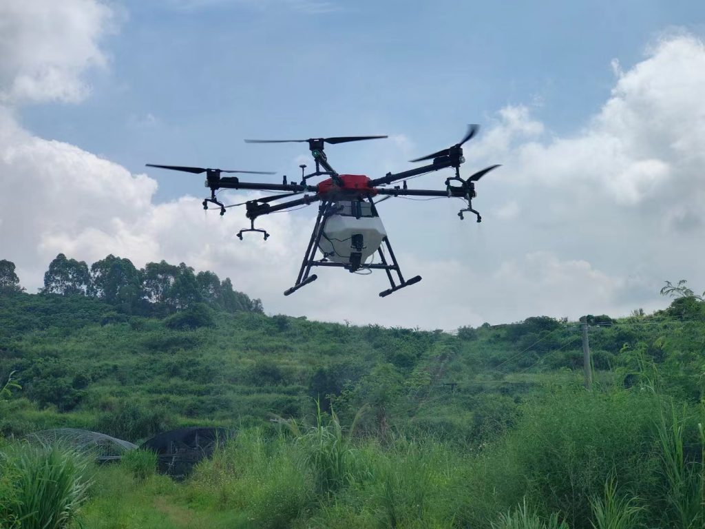 Chinese spray, celery drone