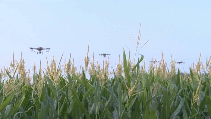 The Future of Medication Drones-msoen