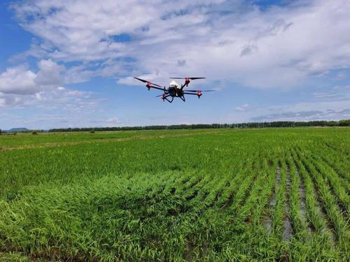 图片[1]-The scope of use of agricultural drones for plant protection-msoen