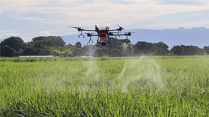 Unmanned harvesters assist in late rice harvesting-msoen