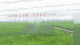 “High-tech” UAV plant protection technology-msoen