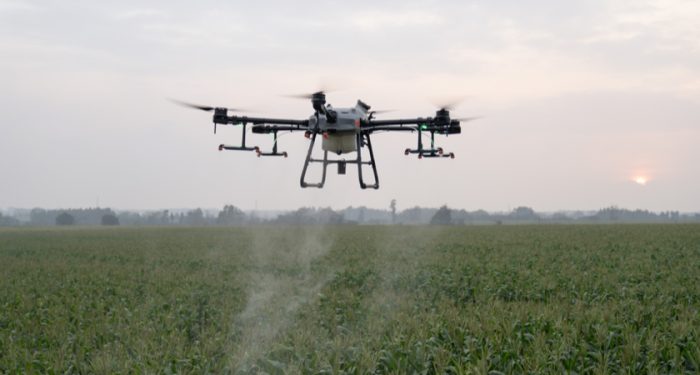 Corn Pesticide Spraying with Drone-msoen