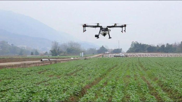 India deploys drones and spray pesticides-msoen