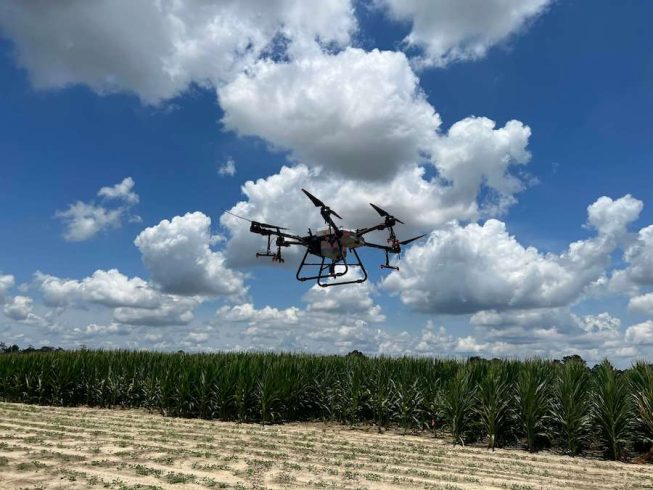 How about using drones to spray pesticides on farmland?-msoen