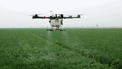 Brunei Pesticide Spray drone-msoen