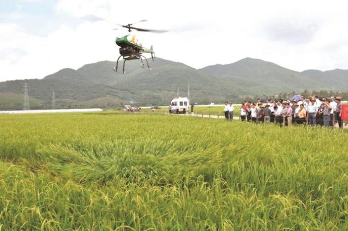 Xingsha UAV