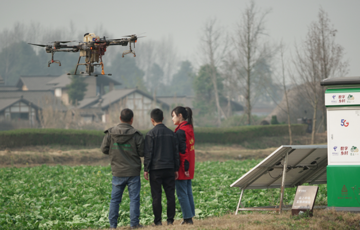 Telecom 5G UAV helps plant protection operation-msoen