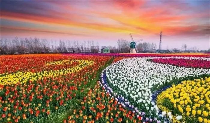 How to plan the landscape of leisure agricultural parks?-msoen