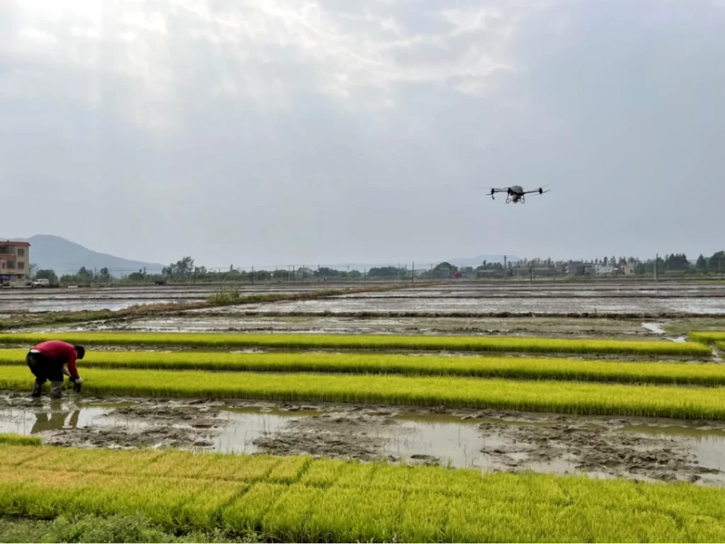 图片[1]-One agricultural drone is 20L2500USD-msoen