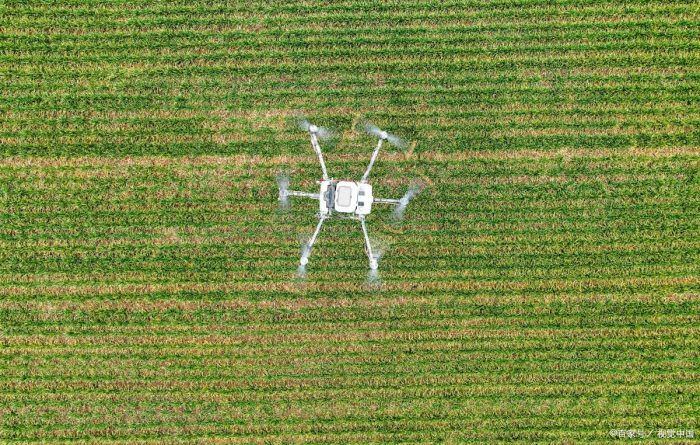 Shawan City Merchant Land Township: Plant Protection Drone Training Helps Farmers' "Wisdom" in Farming-msoen