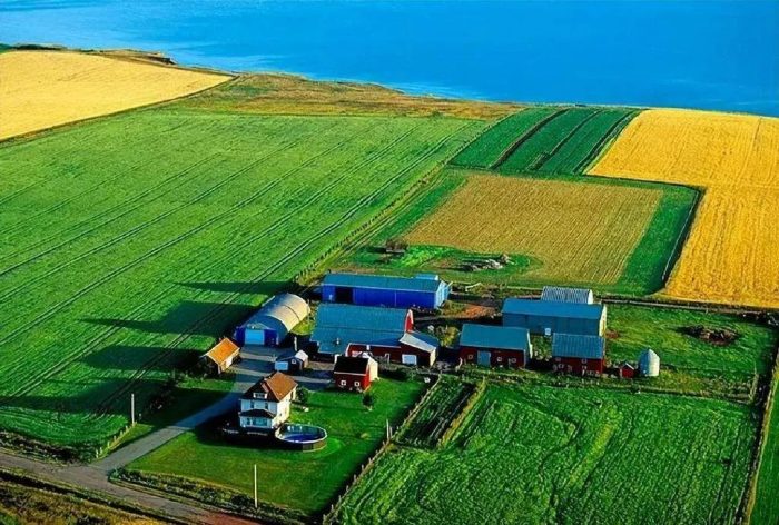 Entering the daily life of