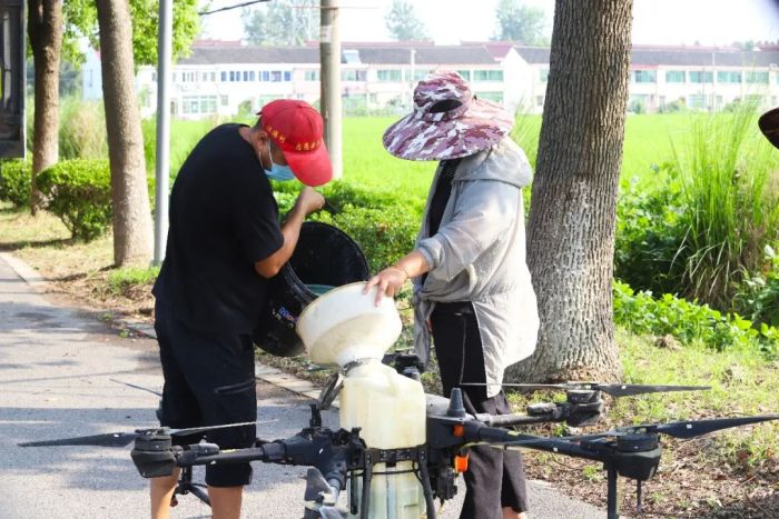 Save time and effort! It only takes 3 hours for drones to spray pesticides on 100 acres of rice-msoen