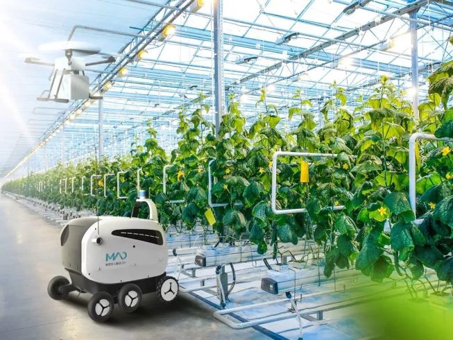 Smart agriculture, How to break through and innovate in the future-msoen
