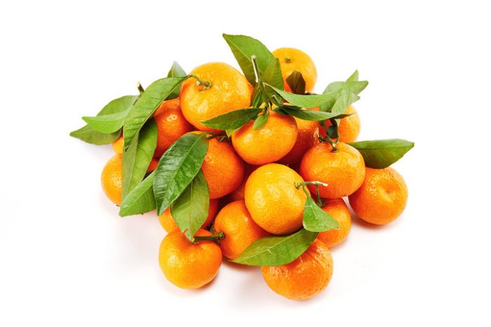 Light and Simplified Cultivation Techniques for Cotton-msoen