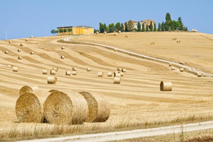 Sitting in an office and farming will become a fashion-msoen