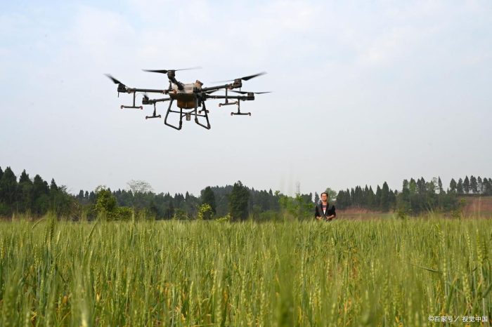 Egyptian spraying drone-msoen