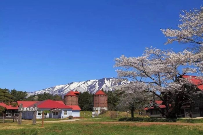 Future prospects for agricultural development: The five major trends contain infinite potential!-msoen