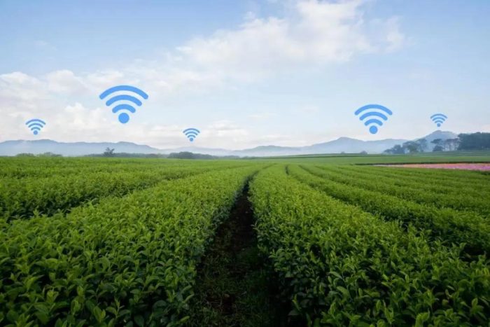 Shandong Promotes Digital Application and Smart Agriculture "Blooming Everywhere"-msoen