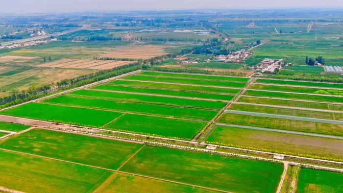 Plant protection drones are an important trend for future agricultural development-msoen