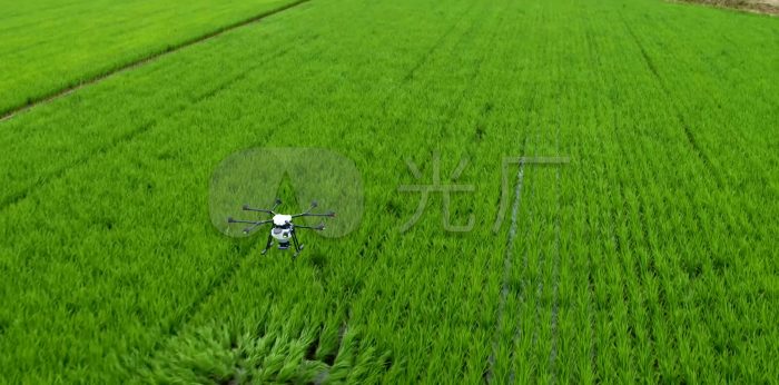 Anfu, Jiangxi: Drone Plant Protection Flies to a New Height of Agricultural Assistance-msoen