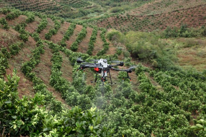 Plant protection drones escort 4.09 million mu of wheat in Baoding City-msoen