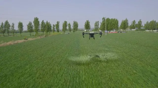 Mianchi launches flight prevention measures to assist in summer grain harvest-msoen