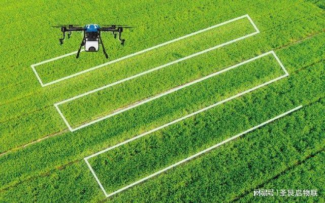 Science popularization sticker: How much do you know about agricultural drones?-agriculturalforum-agriculture-msoen
