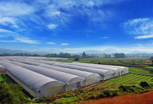 Digital agriculture Helps Spring Farming-agriculturalforum-agriculture-msoen