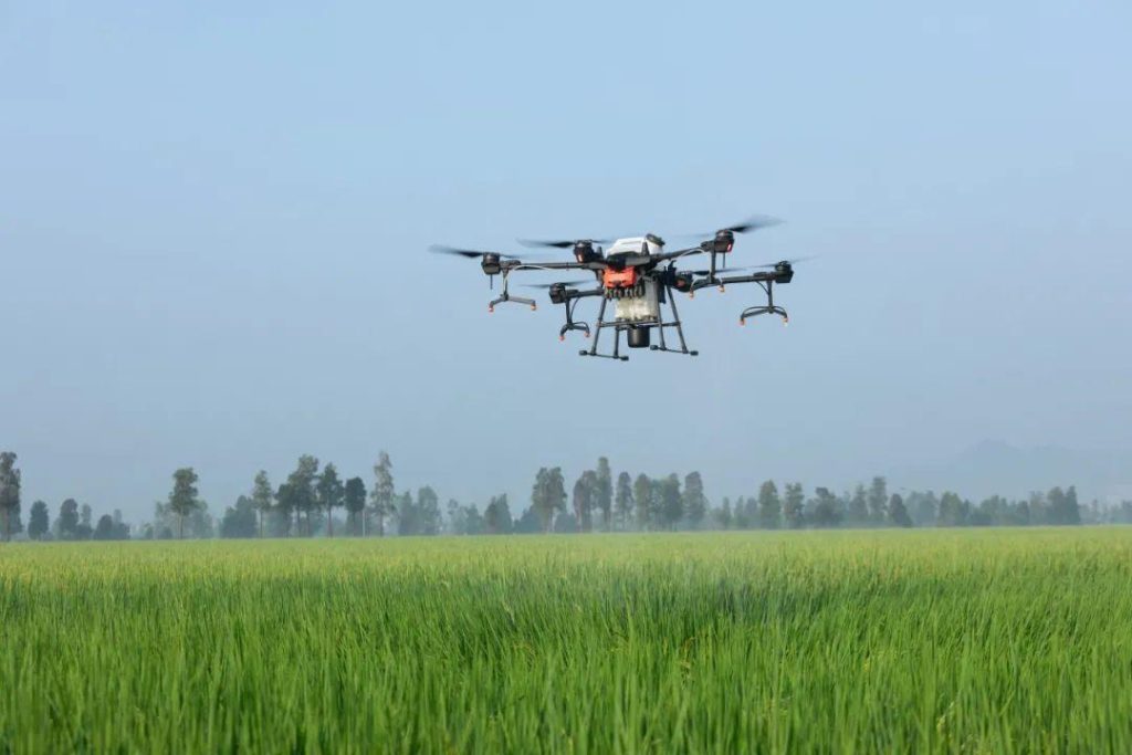 Shaanxi: solidly promoting the construction of characteristic modern agriculture-agriculturalforum-agriculture-msoen