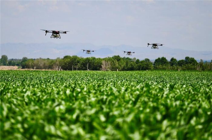 Rice Drone Live Broadcasting Assists Glossy Agriculture Production-msoen