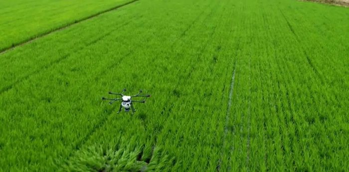 Continuous breakthroughs in agricultural scientific and technological innovation-msoen