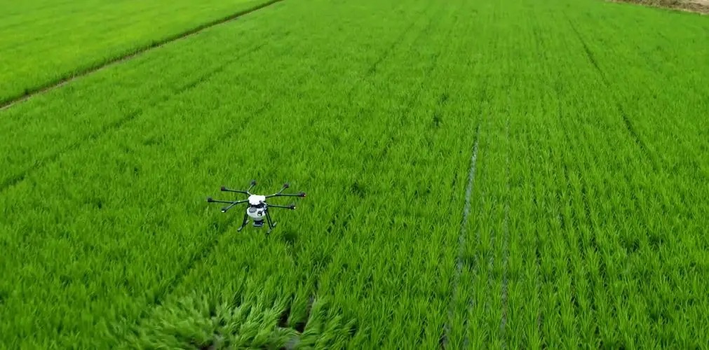 Continuous breakthroughs in agricultural scientific and technological innovation-msoen