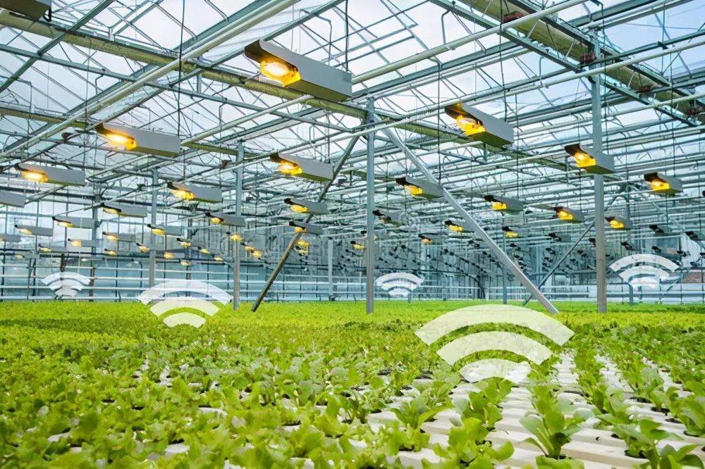 Internet plus supply and marketing revitalization, new agricultural play-agriculturalforum-agriculture-msoen