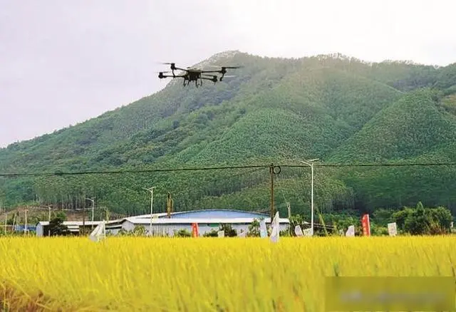 Drone plant protection and flight prevention are time-saving and labor-saving, with good results-Spray droneforum-Spray drone-msoen