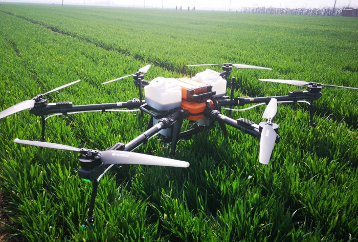 Drones fly into vegetable fields, allowing farmers to hold onto