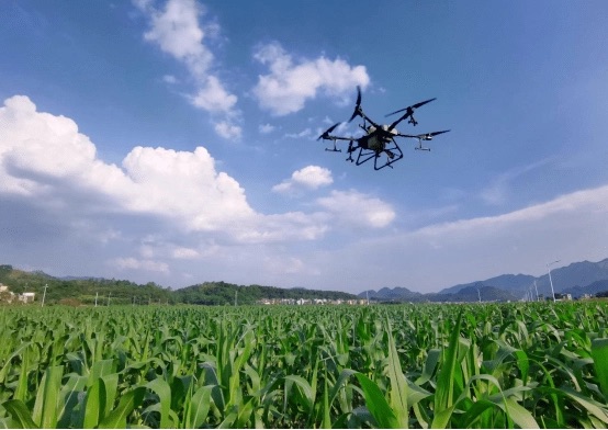 Baoding: More than 600 plant protection drones escort 4.09 million acres of wheat-msoen