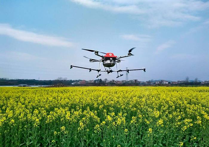 Beijing’s first production-oriented vegetable unmanned farm-msoen