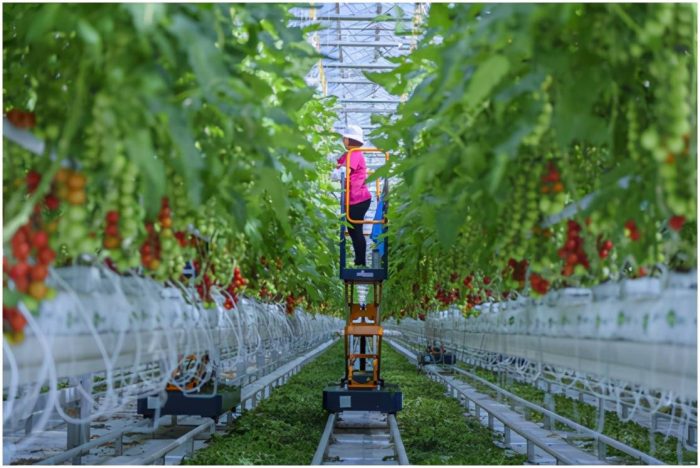 Internet plus drives the rapid transformation of traditional ecological agriculture to precision ecological agriculture-msoen